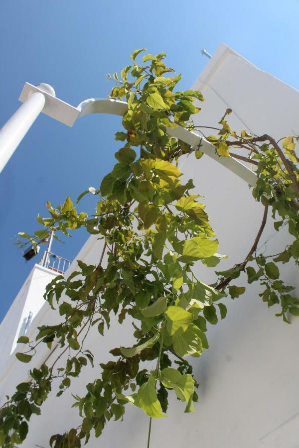 L'Angolo Di Ostuni - Home&Terracex4 Dış mekan fotoğraf